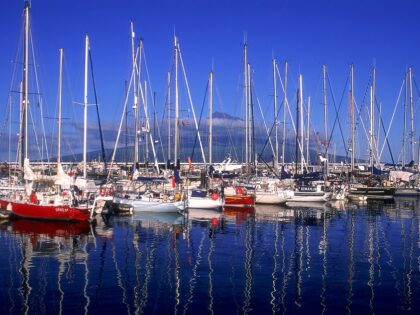 Marina of Horta in Faial island